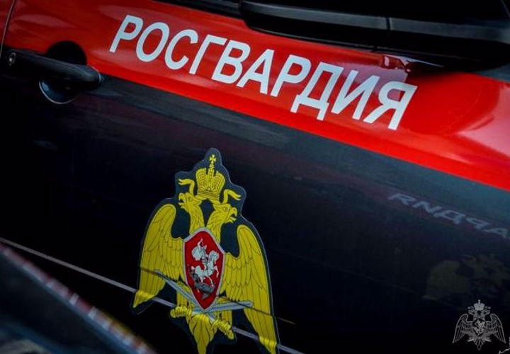 Белгородскими росгвардейцами в рамках операции «Мак-2020» выявлено более 270 кустов дикорастущей конопли