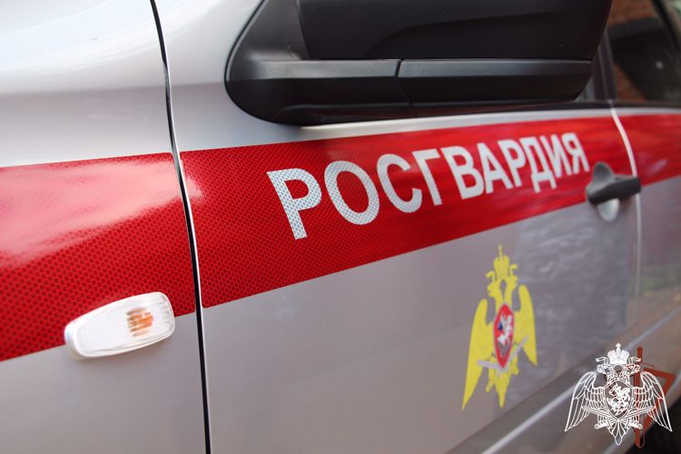 За прошедшую неделю белгородские росгвардейцы проверили более 1500 владельцев оружия и пресекли около 100 административных правонарушений