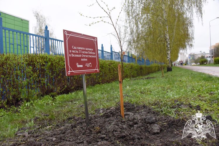 Белгородские росгвардейцы присоединились к международной патриотической акции «Сад памяти»