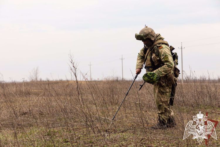 Росгвардейцы разминировали дорогу и ликвидировали схрон с боеприпасами в ДНР