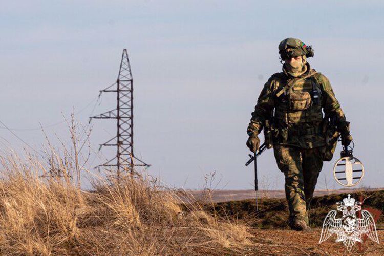 Росгвардейцы предотвратили взрыв на ЛЭП в Донецкой Народной Республике
