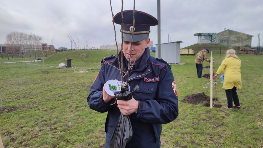 Белгородские росгвардейцы присоединились к международной патриотической акции «Сад Памяти»
