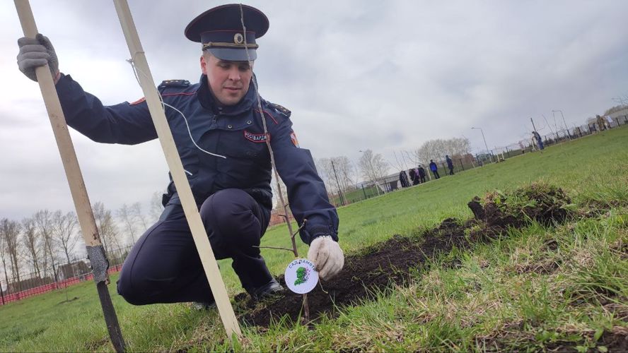 Белгородские росгвардейцы присоединились к международной патриотической акции «Сад Памяти»