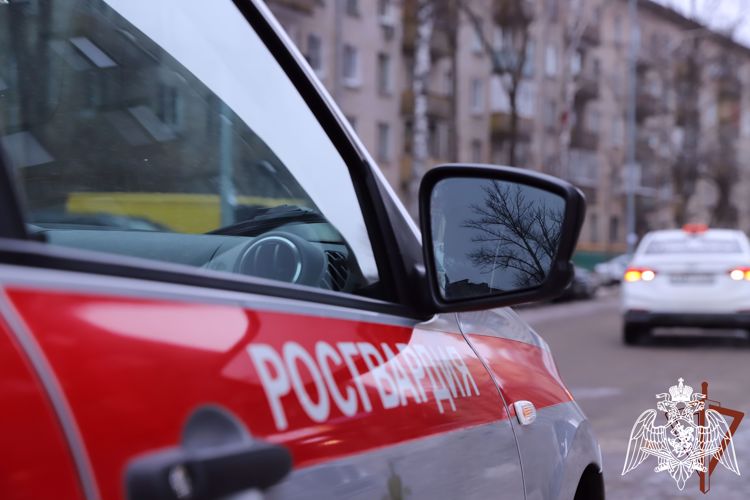 В Белгородской области сотрудники Росгвардии задержали гражданку, находившуюся  в розыске за неуплату алиментов