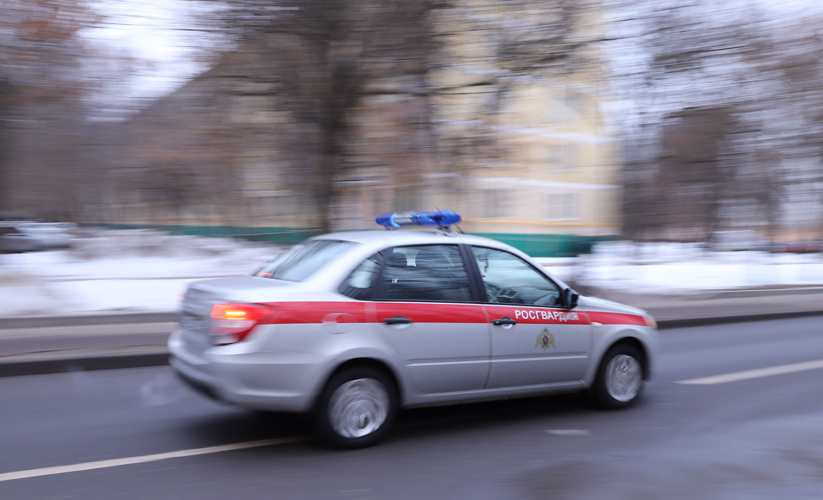 В Белгороде росгвардейцы за неделю задержали свыше 80 правонарушителей