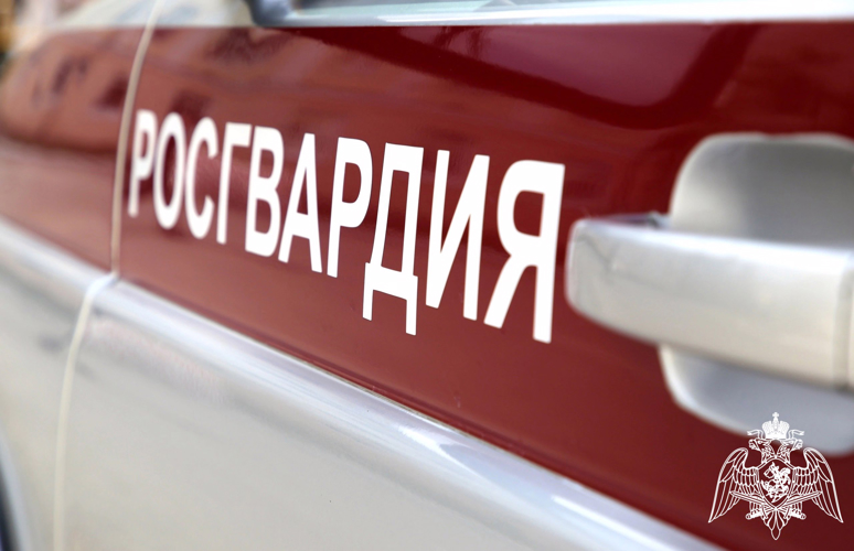 Белгородские росгвардейцы подвели итоги третьего этапа оперативно-профилактической операции «Мак-2024» 