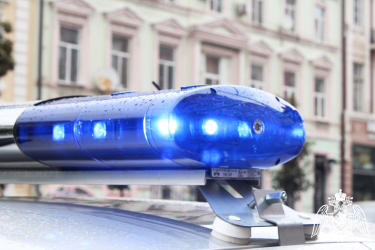 В минувшую неделю белгородские росгвардейцы задержали 95 граждан за административные  правонарушения