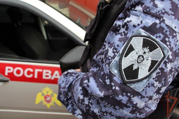 Свыше 2600 административных правонарушений пресекли  росгвардейцы в Белгородской области