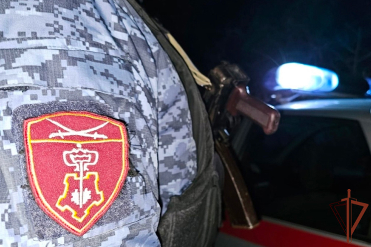 За минувшую неделю белгородские росгвардейцы задержали 83 гражданина за административные правонарушения