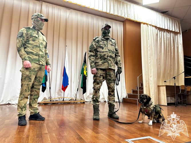 Белгородские росгвардейцы присоединились к региональной акции «80 шагов к Победе»