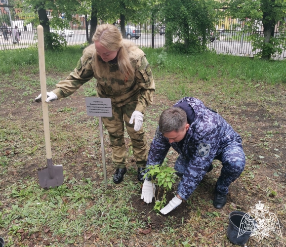 В Белгороде Росгвардейцы из числа почётных доноров поддержали акцию «Сирень Победы»