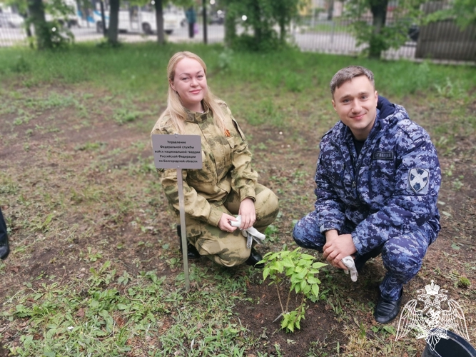 В Белгороде Росгвардейцы из числа почётных доноров поддержали акцию «Сирень Победы»