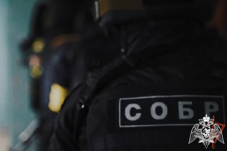Подозреваемый в незаконном приобретении оружия и боеприпасов задержан в Белгородской области при содействии СОБР Росгвардии