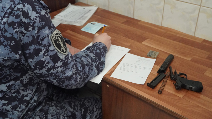 За неделю сотрудники Росгвардии выдали белгородцам порядка 370 лицензий и разрешений