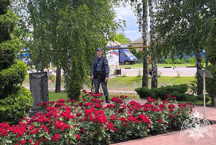 Белгородские Росгвардейцы за неделю пресекли более 100 административных правонарушений