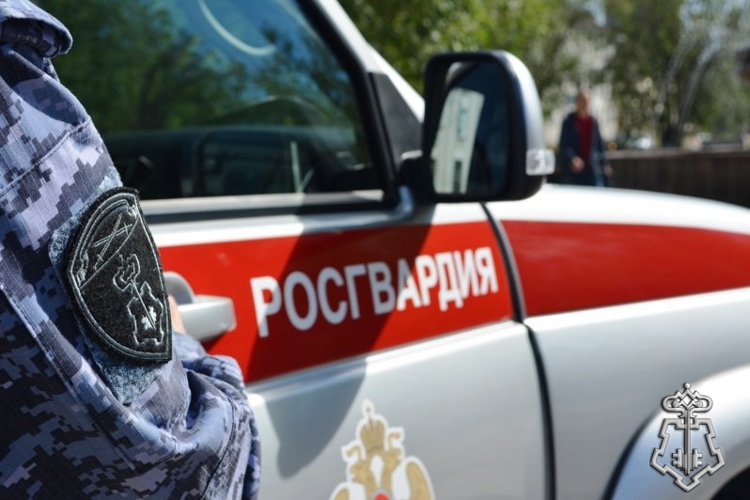 Сотрудники вневедомственной охраны Росгвардии более 200 раз за прошедшую неделю выезжали по сигналу «тревога» в Белгородской области