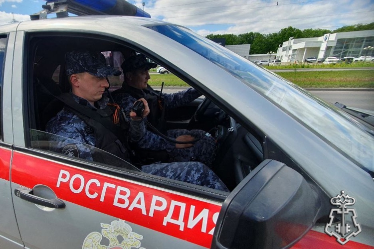 Росгвардейцами в Белгородской области выявлено порядка 360 кустов растений, содержащих наркотические вещества