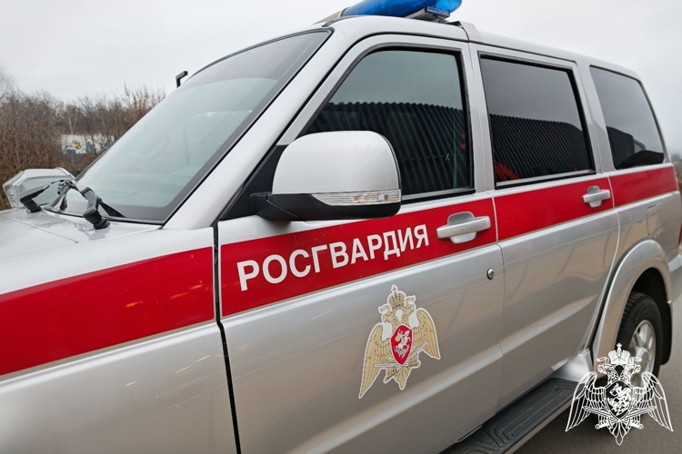 За прошедшую неделю белгородские Росгвардейцы задержали более 100 граждан за административные правонарушения