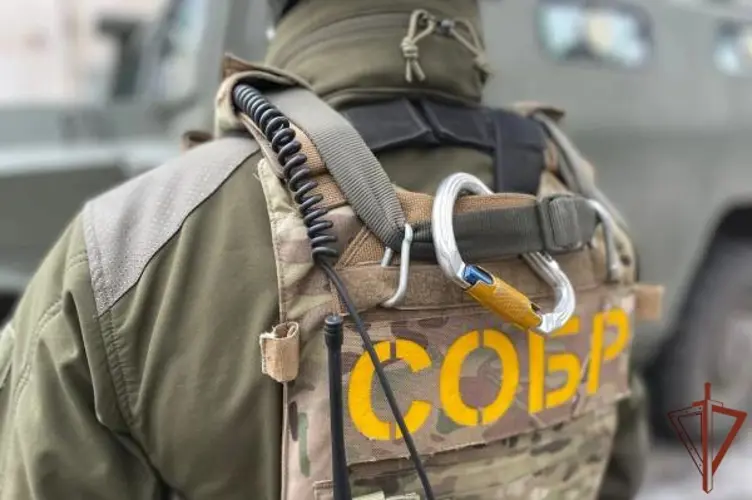 При силовой поддержке СОБР «Белогор» задержаны члены организованной преступной группы, причастные к подделке документов (видео)