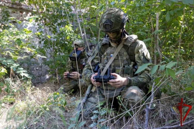 Спецназ Росгвардии уничтожил боевика ВСУ, укрывшегося в брошенном автомобиле на харьковском направлении