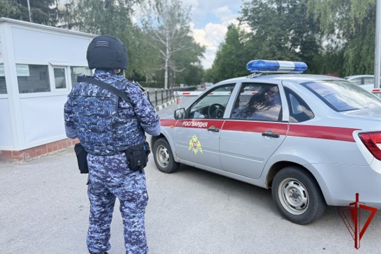 Белгородские росгвардейцы по «горячим следам» задержали подозреваемого в краже рецидивиста