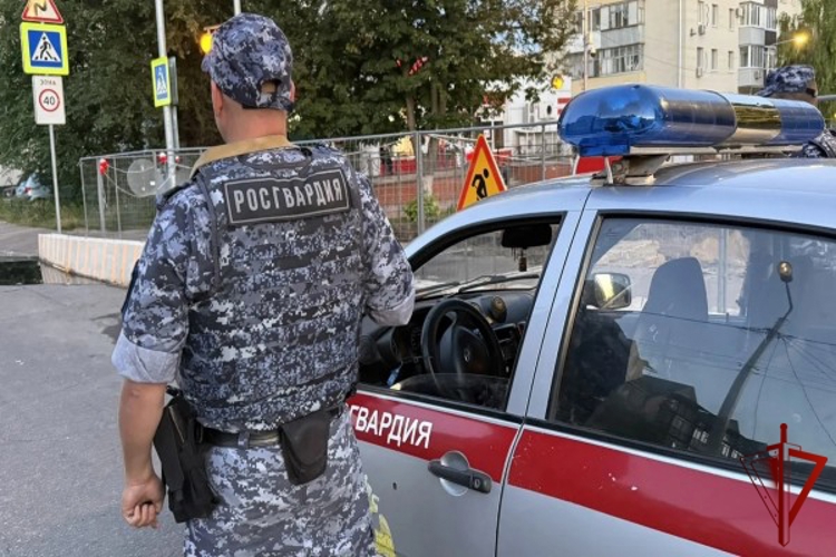 Больше 260 раз выезжали белгородские росгвардейцы по сигналу «тревога» за прошлую неделю