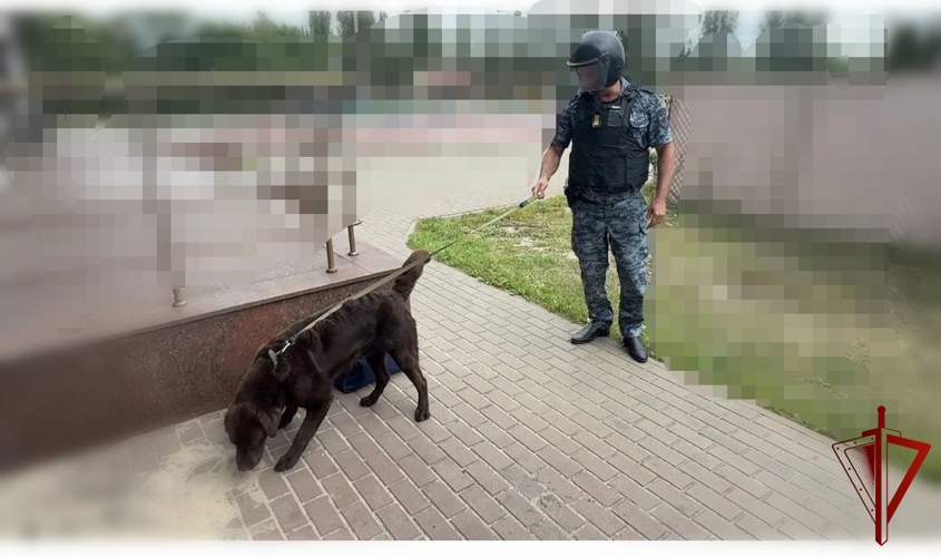 В Старом Осколе росгвардейцы отработали действия при чрезвычайной ситуации на охраняемом объекте