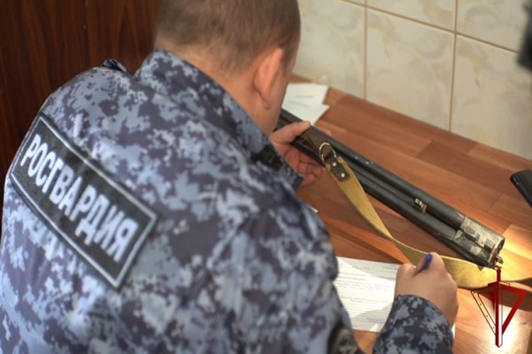 С начала года сотрудники Росгвардии в Белгородской области изъяли больше 860 единиц оружия 
