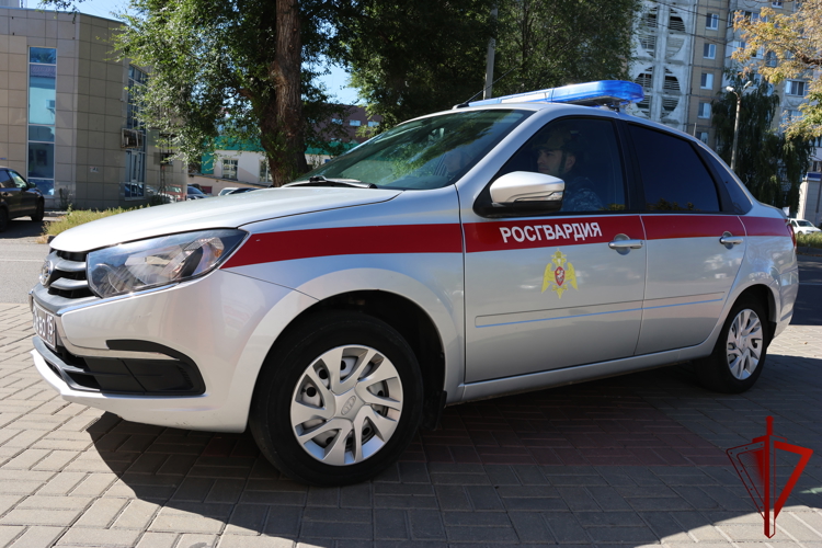 За прошедшую неделю белгородские росгвардейцы задержали 90 граждан за административные правонарушения